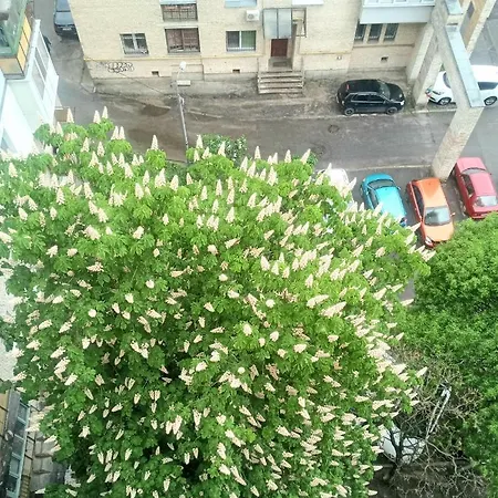 тут комфортно! Apartment *